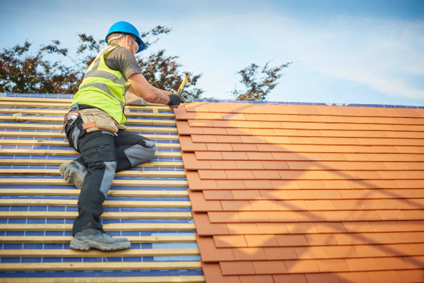 Best Asphalt Shingle Roofing  in Weston, NJ